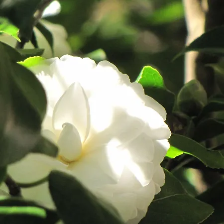 波尔图库尔豪斯旅馆 招待所 3*