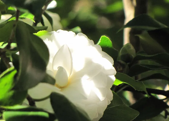 Koolhouse Vendégház 3*