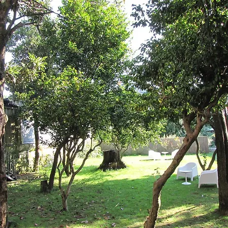 Konukevi Koolhouse Porto